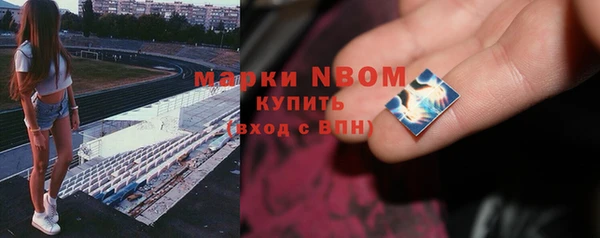 крисы Осташков