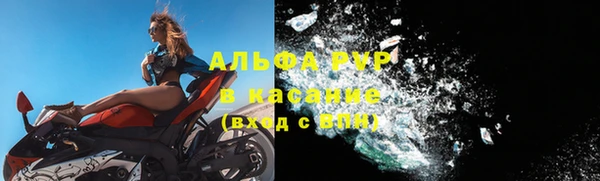 крисы Осташков