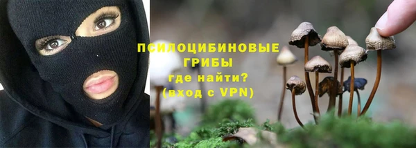 дурь Вуктыл