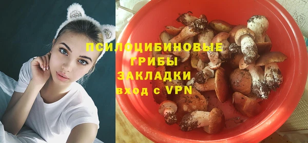 крисы Осташков
