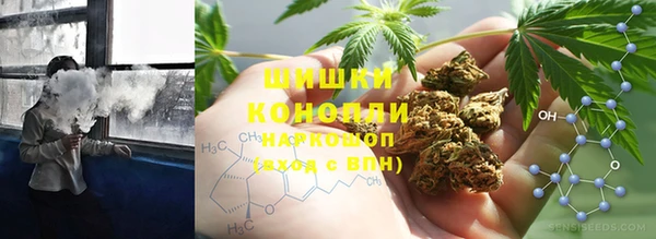 крисы Осташков